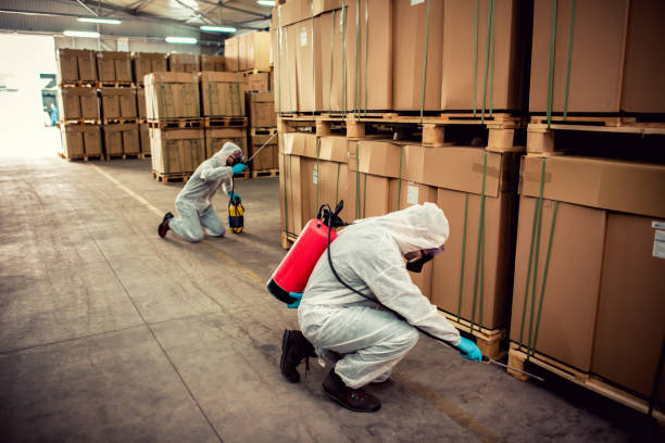 Best Affordable Pest Control Services  in Grant, AL
