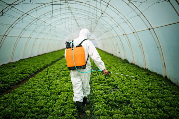 Professional Pest Control in Grant, AL