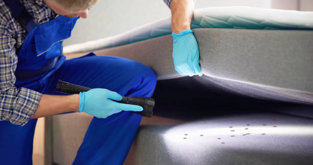 Best Affordable Pest Control Services  in Grant, AL