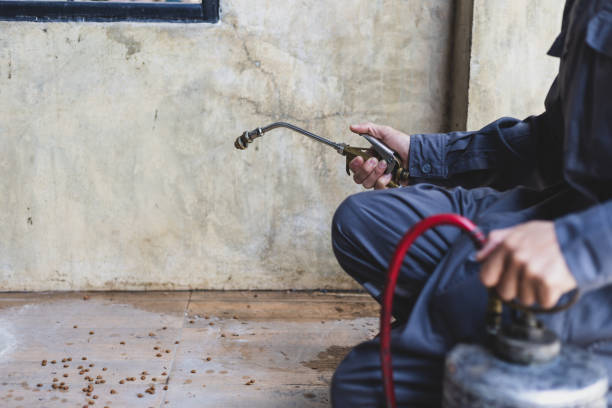 Best Exterminator Services  in Grant, AL